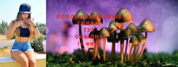 ПСИЛОЦИБИНОВЫЕ ГРИБЫ Заводоуковск