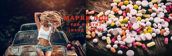 ПСИЛОЦИБИНОВЫЕ ГРИБЫ Заводоуковск