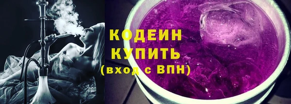 ПСИЛОЦИБИНОВЫЕ ГРИБЫ Заводоуковск