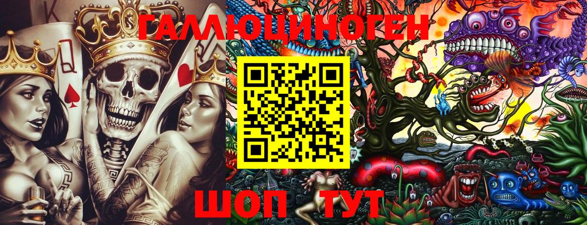 Псилоцибиновые грибы Psilocybe  Вход с VPN  Галлюциногенные грибы Psilocybe  закладки  Абакан 